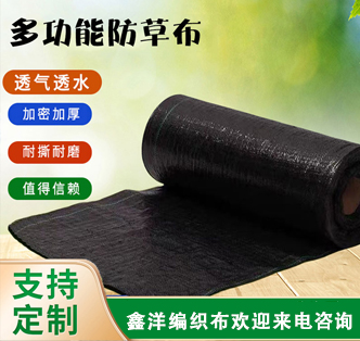 关于鑫洋